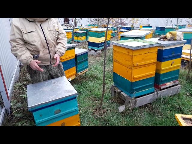 многокорпусной улей.Залог успешной зимовки.