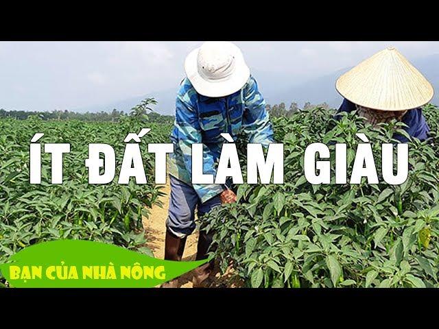 Ít đất vẫn có thể làm giàu - Môt hình thâm canh đáng để học hỏi