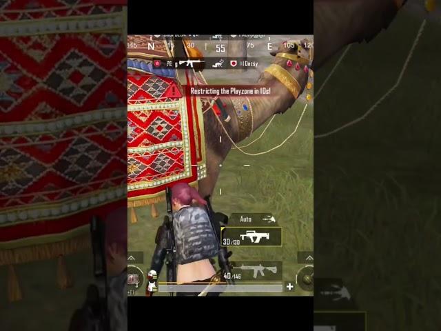 PUBG Mobile new animal 3.7 Update #bgmishorts #pubgmobile #shorts