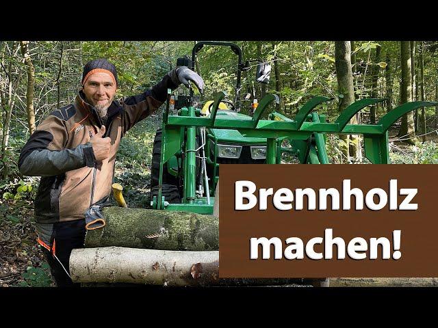 Brennholz machen im Teutoburger Wald, Sturmschaden  Frühjahr aufarbeiten, John Deere Traktor, Stihl