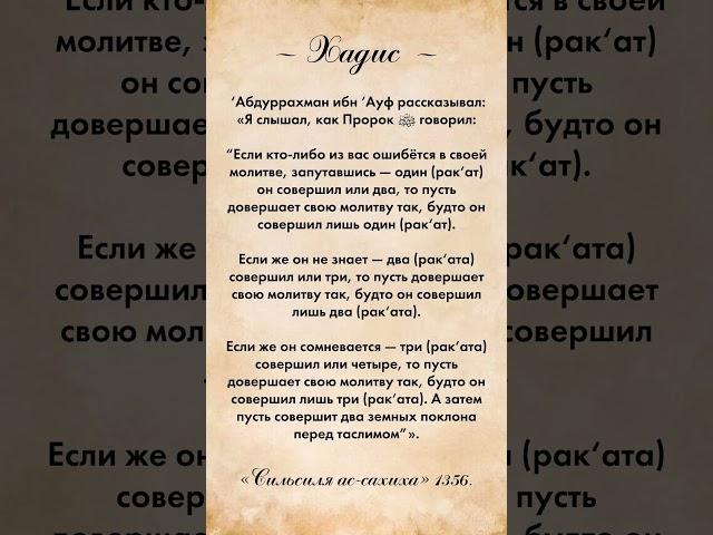 Запутался в количестве ракаатов? Решение в сунне!