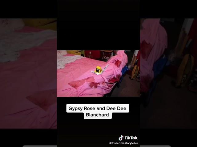 #Shorts #TikTok Credits to truecrimestoryteller   Gypsy Rose and Dee Dee