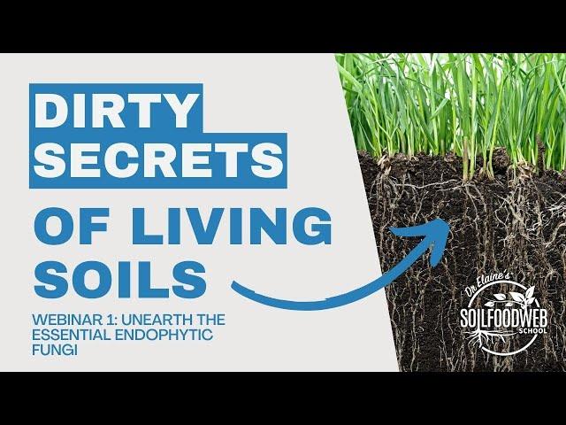 Unearth the Essential Endophytic Fungi | Dirty Secrets of Living Soils