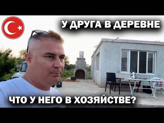 У ДРУГА В ДЕРЕВНЕ В ПРИГОРОДЕ АНТАЛИИ. Что у него в хозяйстве? Как растут арбузы #влог Турция