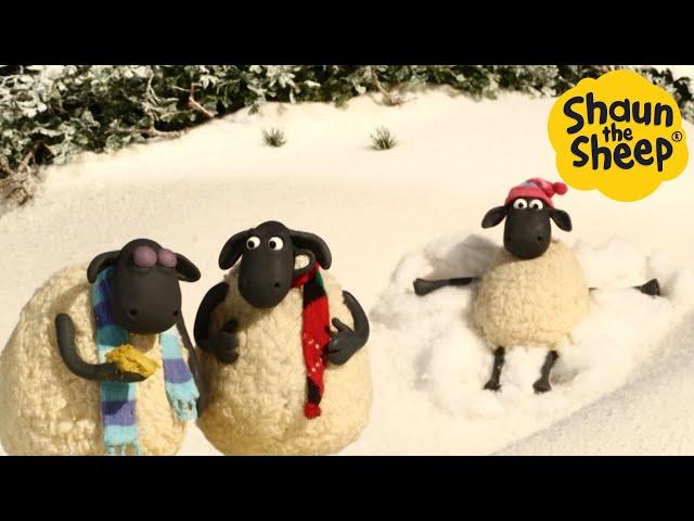 Shaun the Sheep  Chill with Shaun - Cartoons for Kids  Full Episodes Compilation [1 hour]