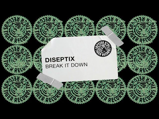 Diseptix - Break It Down