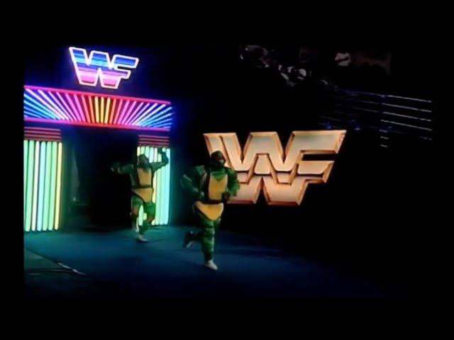 "The Toxic Turtles" (WWF 1993)