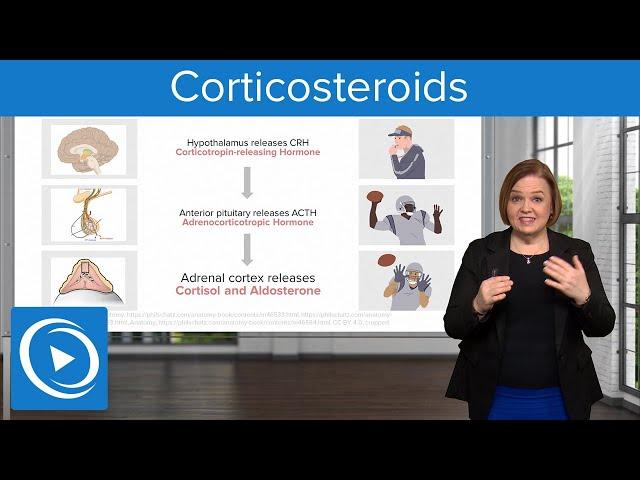 Corticosteroids – Pharmacology | Lecturio Nursing