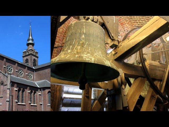 Doomkerke, Sint-Caroluskerk, klokken