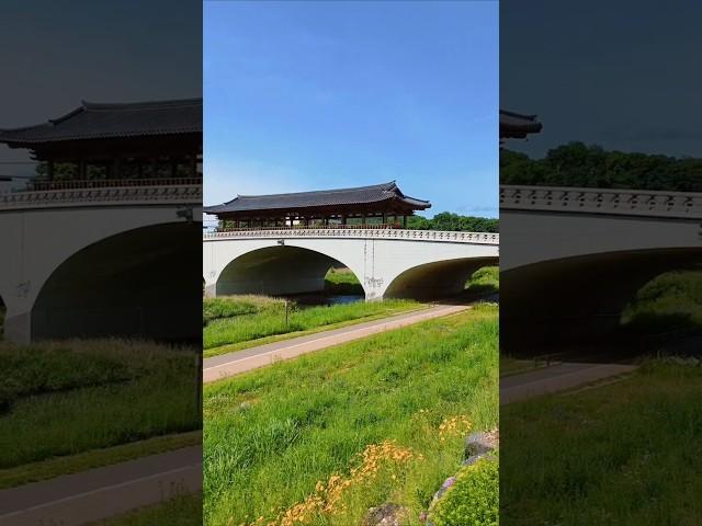 전주 청연루 전주천 산책길