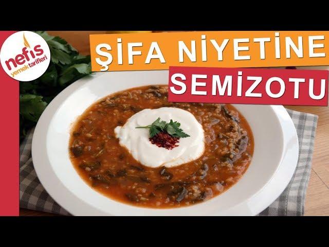 Semizotu Yemeği Nasıl Yapılı? - Tam Bir Şifa Kaynağı Deposu - Nefis Yemek Tarifleri