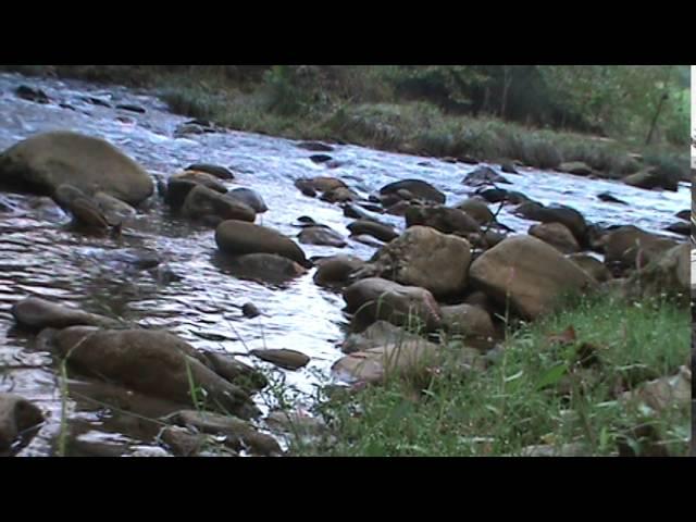 Calming creek Tribute to John