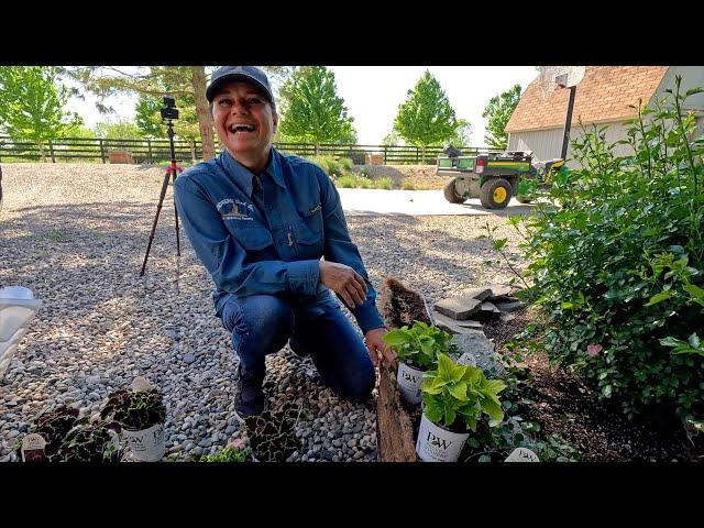 Planting 3 Full Sun & 3 Shade Containers in My Parent’sGarden! 🪴 // Garden Answer