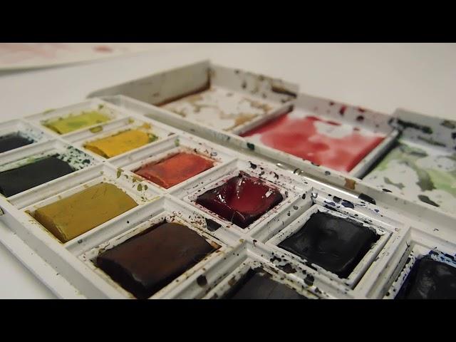 Winsor & Newton Cotman brush review and demo || sarahrosepgh