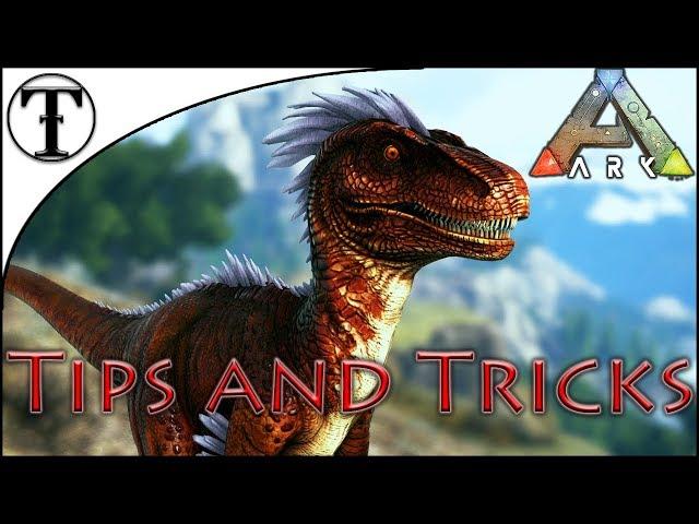 Fast Raptor Taming Guide :: Ark : Survival Evolved Tips and Tricks