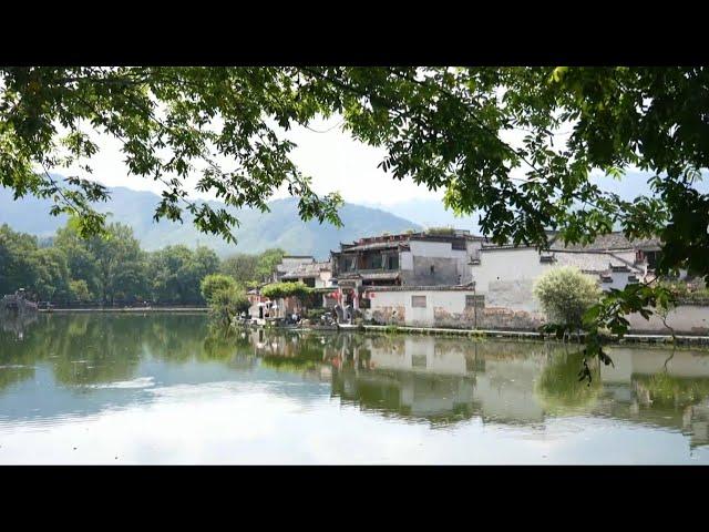 American students explore Chinese culture in Anhui Province