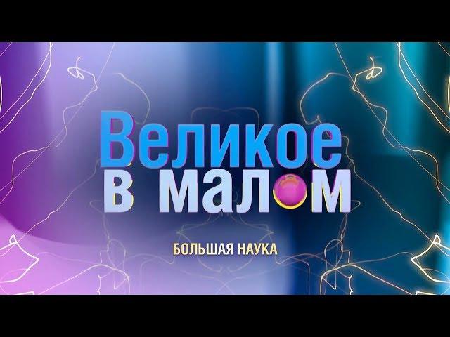 Великое в малом. Современная детская литература