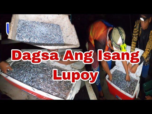 Dumagsa Ang Isdang Lupoy/ Unang Laot 2025/ Part 2/Vlog # 602 LTV #viralvideo #fishing/