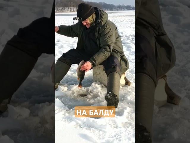 #окунь #набалду #балда