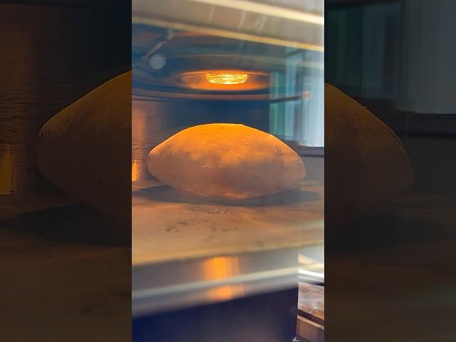 Watch the Pitas POP! #homemade#pita#sourdough#recipe#tutorial#bread#easy#shorts#asmr#tutorial#baking