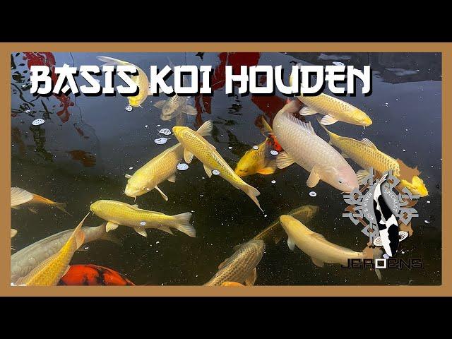 DE BASIS VOOR KOI HOUDEN! #732