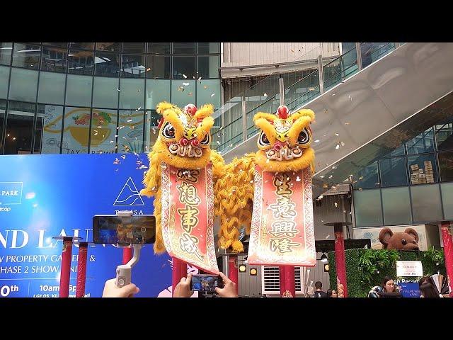 CNY 2024 - Acrobatic Lion Dance by Khuan Loke at Bangsar Hill Park Grand Launch