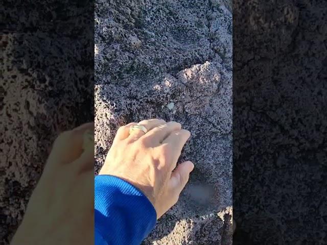 Mysterious Holes In This Big Rock. #rocks #mysteries #bolders #hiking