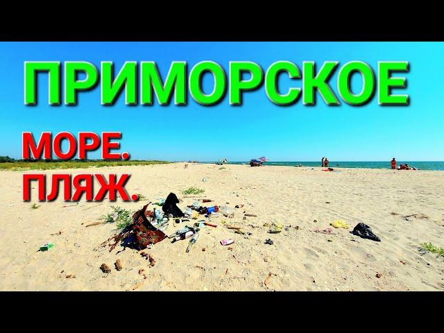 Приморское курорт. Одесские пляжи. Вилково. Море. Где отдохнуть. Закрытый пляж. Сасык. #зоотроп
