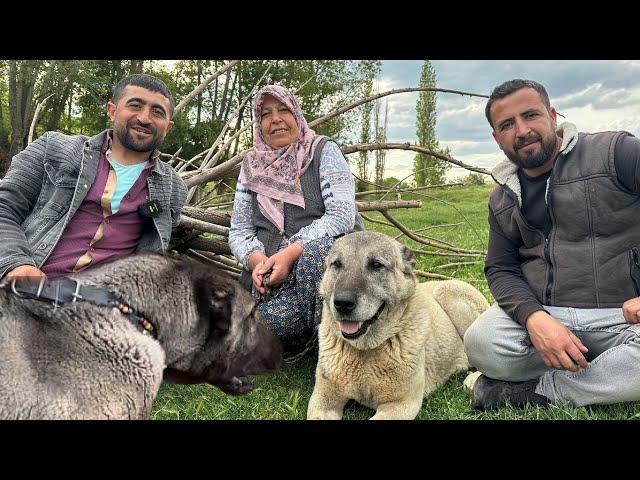 BİKE ÇILDIRDI ! EFSANE KANGAL KILIÇ VE POYRAZ TİMİ SİVAS'TAN GELDİ !