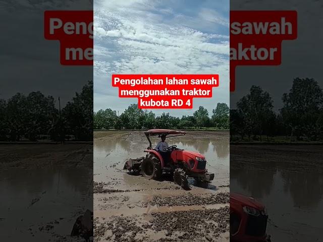 operator tersantuy  traktor roda 4 kubota L4018 lagi olah lahan #sawah#shorts #viral #video #fyp