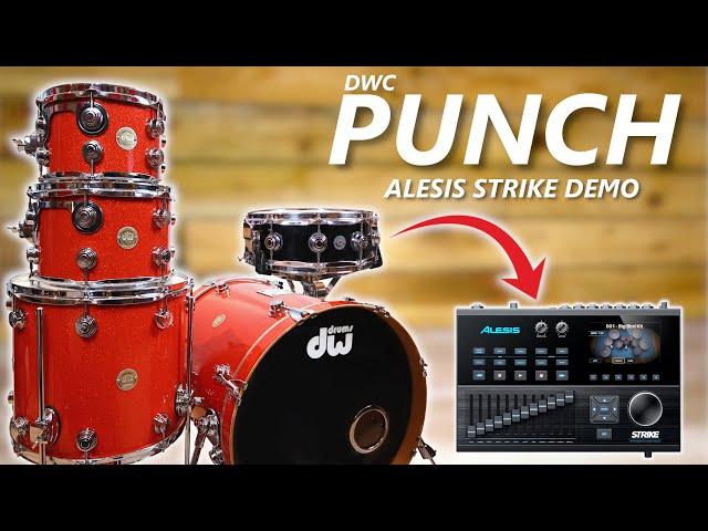 PUNCH for Alesis Strike | New Instruments with Multi-layer Samples & Custom Kits | Sound Download