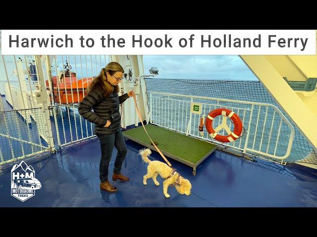 Travelling with your Dog on the Harwich to Hook of Holland Ferry - Pet Cabin Experience