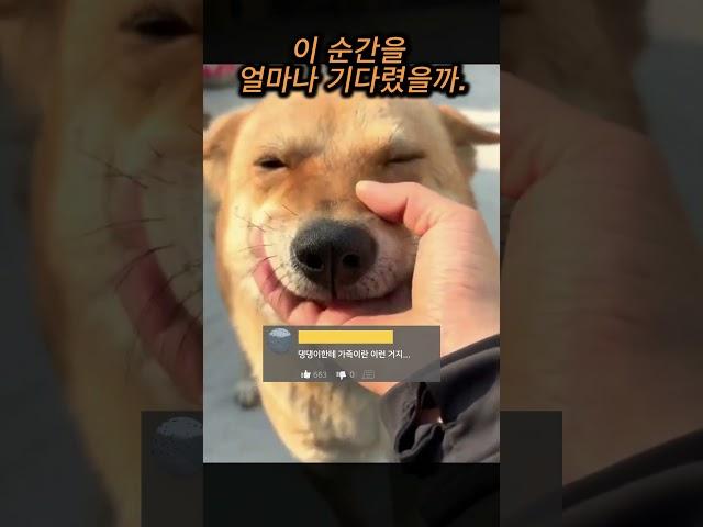 그저… 돌아 와줘서 고마워