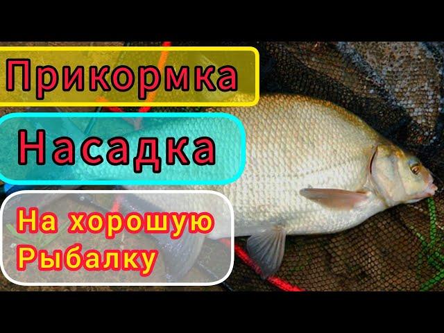 Убойная НАСАДКА и ПРИКОРМКА для ЛеЩА и Карася!!! Рыбалка будет   БОМБА!!!