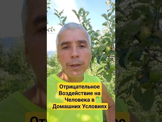 Отрицательное Действие на Человека в Доме! #естественный #тагир