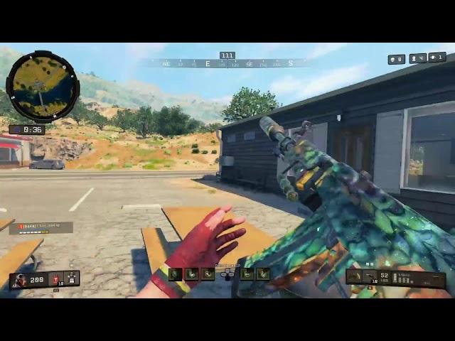 Call of duty black ops 4 blackout custom