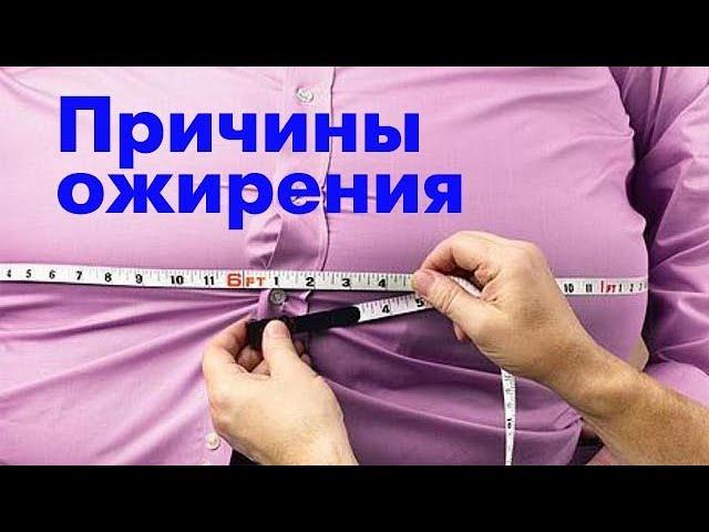 Фастфуд. Основная причина ожирения