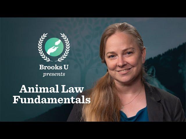 "Overview of the Animal Welfare Act" by Professor Delcianna Winders