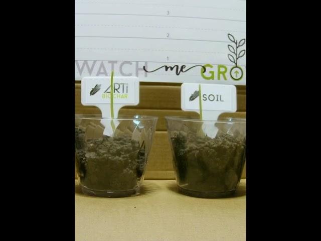 Watch me grow! Difference with Biochar