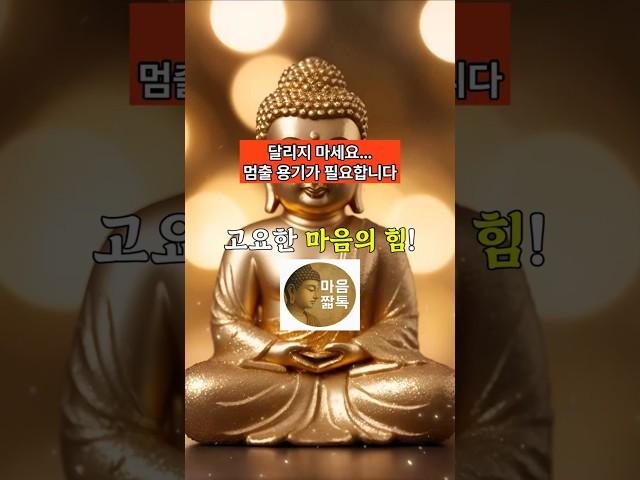달리지 마세요… 멈출 용기가 필요합니다... #shorts #불교 #오디오북 #말한마디 #인생 #괴로움 #깨달음 #용기