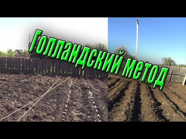 Посадка картофеля в гребни  Голландский метод  Жизнь в деревне