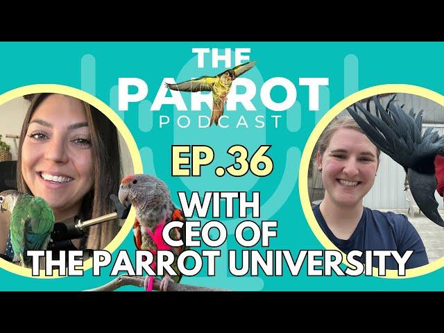 The Aviator Bird Harness  | The Parrot Podcast #36 @theaviatorbirdharness6411