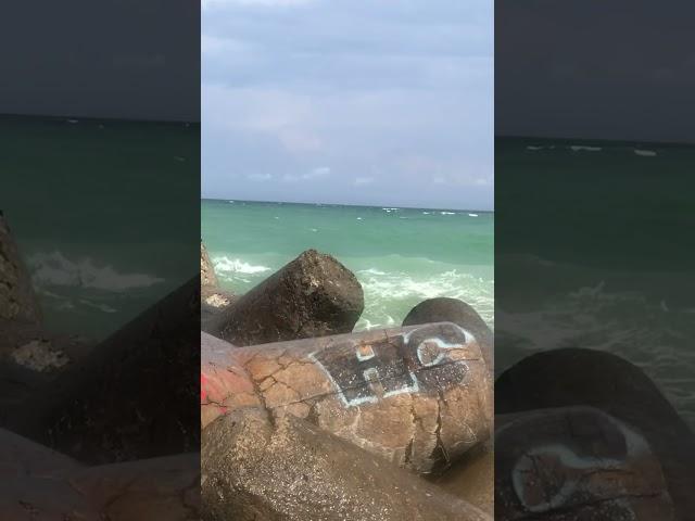 Сильные волны / Чёрное море / Золотые пески / Варна / Болгария