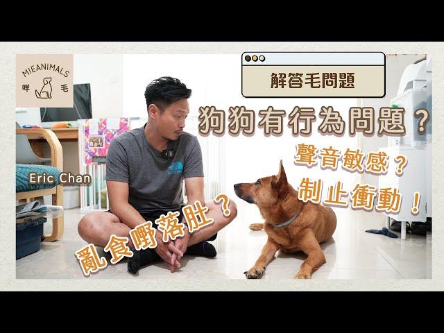 狗狗有「行為問題」要點訓練？犬隻訓練師Eric Chan 想主人明狗狗諗咩