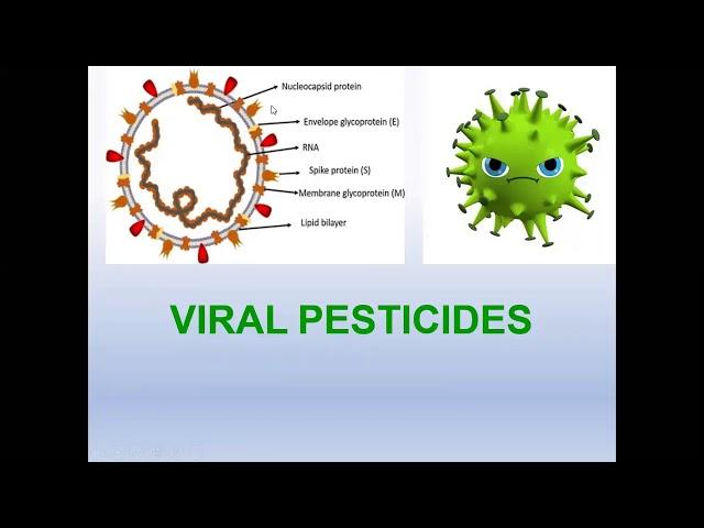 Viral Pesticides Part-1