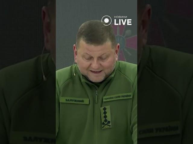 ️ЗАЛУЖНИЙ про роботу ТЦК
