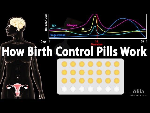 How Birth Control Pills Work, Animation