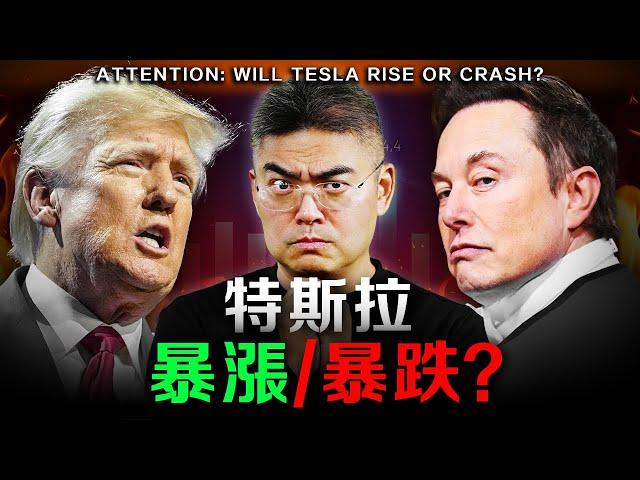 【注意】川普當選後，投資要小心了！特別是電動車！如何應對？手上的錢怎麼辦？