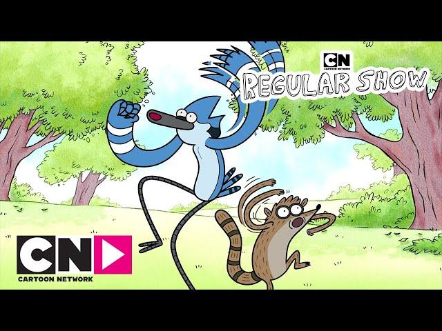 SÜREKLİ DİZİ | 5 Saatlik Eğlence | Cartoon Network Türkiye