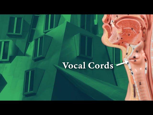Asymmetrical Vocal Cord Movement